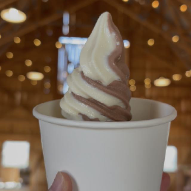 Frozen Roots Soft Serve Ice Cream Rentals